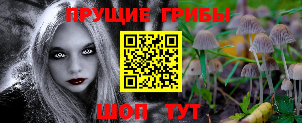 Галлюциногенные грибы Cubensis Самара